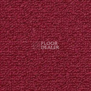 Ковролин Radici Trotter Ribes 2009 фото 1 | FLOORDEALER